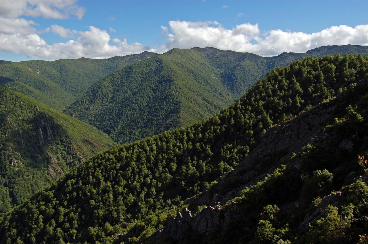 El Mirador De Fuentes Del Narcea Moncó Exterior foto